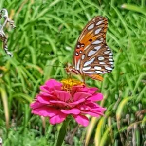 Meet your Posher, Christen